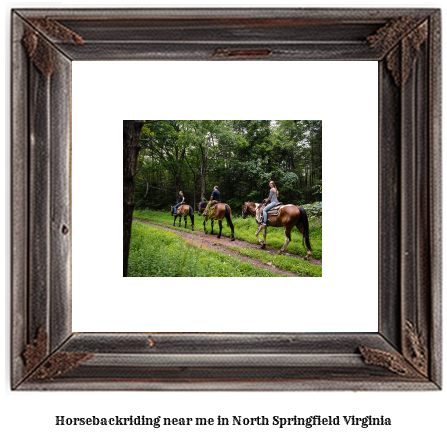 horseback riding near me in North Springfield, Virginia